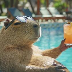 Capybara