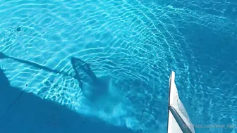Love Lilah Gets Creampied Next To The Pool